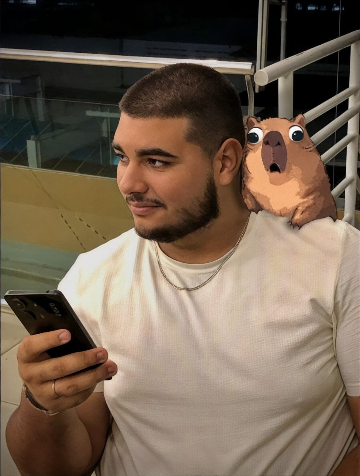 Hamilton Felipe — AI Automation Developer